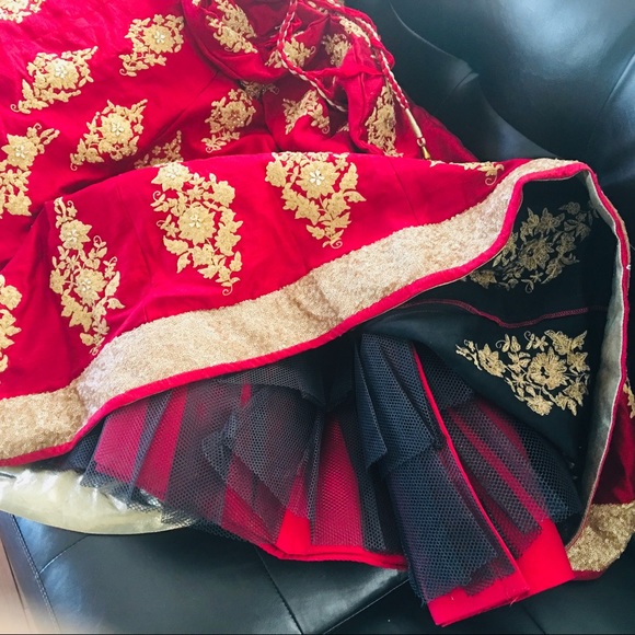 Beautiful Indian bridal lehanga with heavy designs - Picture 5 of 6